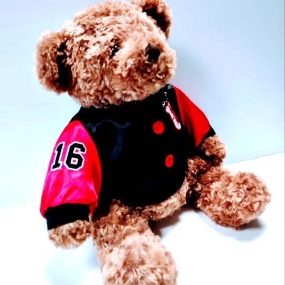 EUC Dan Dee Collector's Plush 17 " Brown Teddy Bear with Love U on the jacket - Picture 9 of 14